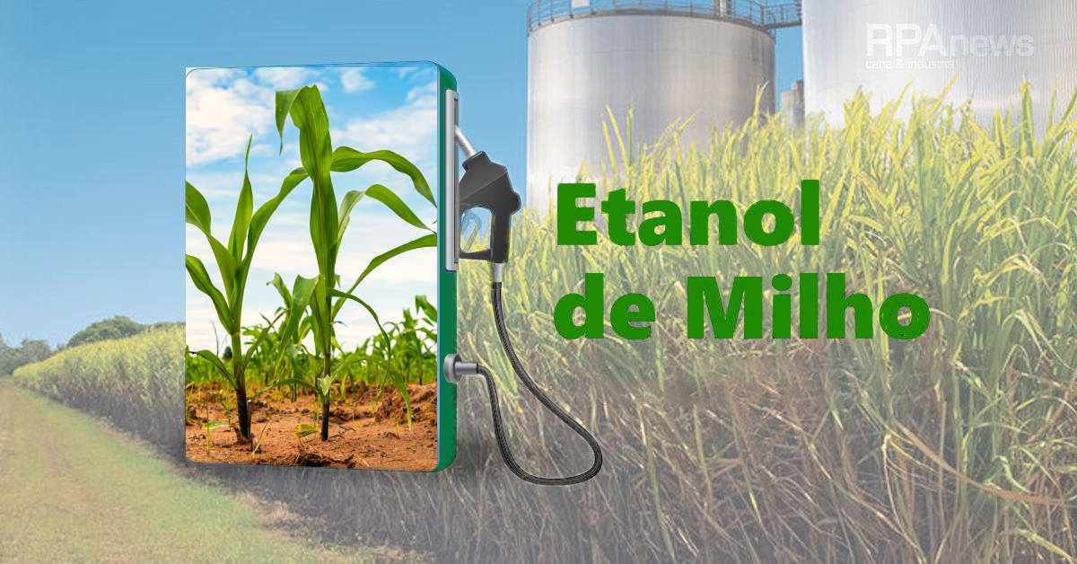 Empresários demonstram grande otimismo com o mercado de etanol de milho