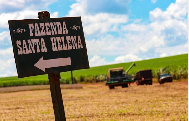 Produtor de cana espera boa safra