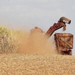 Na reta final da safra, os produtores de cana estão enxergando melhora no valor de ATR, no entanto, o custo de produção da cana é maior o maior desafio 