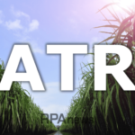 Valor do ATR - pré-maturadores