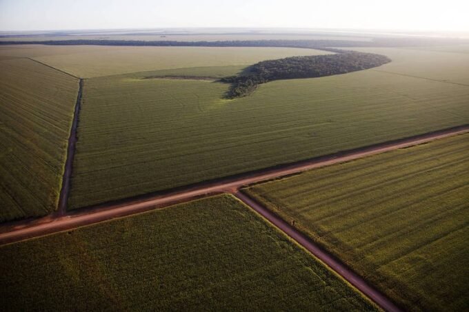 As cadeias produtivas do agro paulista se mobilizam para atender às determinações do Governo do Estado de São Paulo e continuar produzindo e escoando a produção para garantir o abastecimento de alimentos a população.
