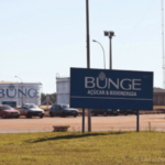 BUNGE