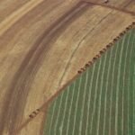 Entidade alerta para risco de falta de alimentos, combustíveis e medicamentos caso estradas e ferrovias sejam fechadas
