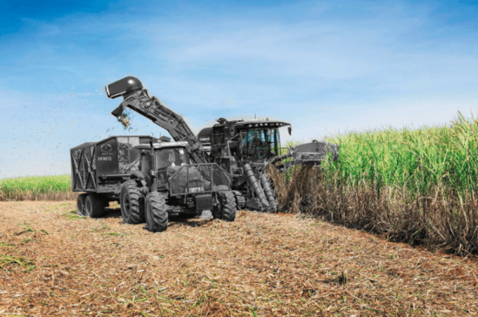 Mesmo com canaviais um pouco melhores do que os da safra 2019/20 - com melhor produtividade e idade média menor – o futuro da safra 2020/21 para o setor sucroenergético ainda é incerto. 