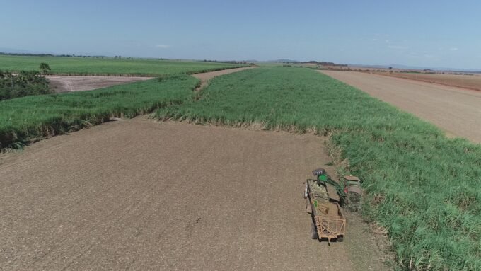 Safra de cana será menor