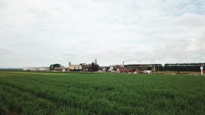 Duas unidades da Atvos foram as primeiras do Estado; demais usinas participam do processo de certificação e aguardam admissão