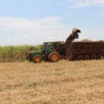 A safra 2020/21 poderá chegar a uma moagem de 600 milhões de t de cana-de-açúcar no Centro-Sul do Brasil, segundo projeta a consultoria Agroconsult.