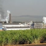 Carregando a maioria de seu etanol para a estocagem, a São Martinho acredita que a retomada da demanda pelo biocombustível aconteça entre o terceiro e quatro trimestre deste ano, no entanto, diante do cenário atual, decidiu postergar investimentos que estavam planejados.