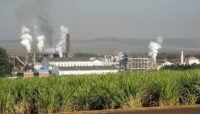 Carregando a maioria de seu etanol para a estocagem, a São Martinho acredita que a retomada da demanda pelo biocombustível aconteça entre o terceiro e quatro trimestre deste ano, no entanto, diante do cenário atual, decidiu postergar investimentos que estavam planejados.