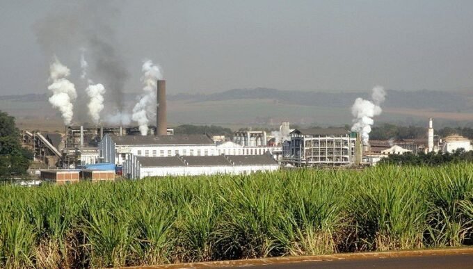 Carregando a maioria de seu etanol para a estocagem, a São Martinho acredita que a retomada da demanda pelo biocombustível aconteça entre o terceiro e quatro trimestre deste ano, no entanto, diante do cenário atual, decidiu postergar investimentos que estavam planejados.