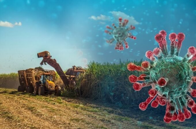 Apesar do momento complicado que o setor sucroenergético vive, com a queda dos preços e da demanda pelo etanol, a expectativa é que ações como a retirada do Pis/Cofins, a volta da Cide, o financiamento de estocagem, e depois disso, o retorno das atividades do país, serão capazes de tirar o setor da dificuldade em que ele se encontra hoje. Essa é a opinião de Alexandre Mendonça de Barros, sócio e consultor da MB Agro.