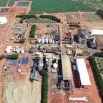 Após iniciar sua safra oficialmente ontem, dia 3 de março de 2020, a Usina Batatais afirmou hoje, em coletiva de imprensa, que espera moer 4,150 milhões de t de cana-de-açúcar