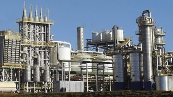 em suas unidades de Ivinhema e Angélica, no MS,