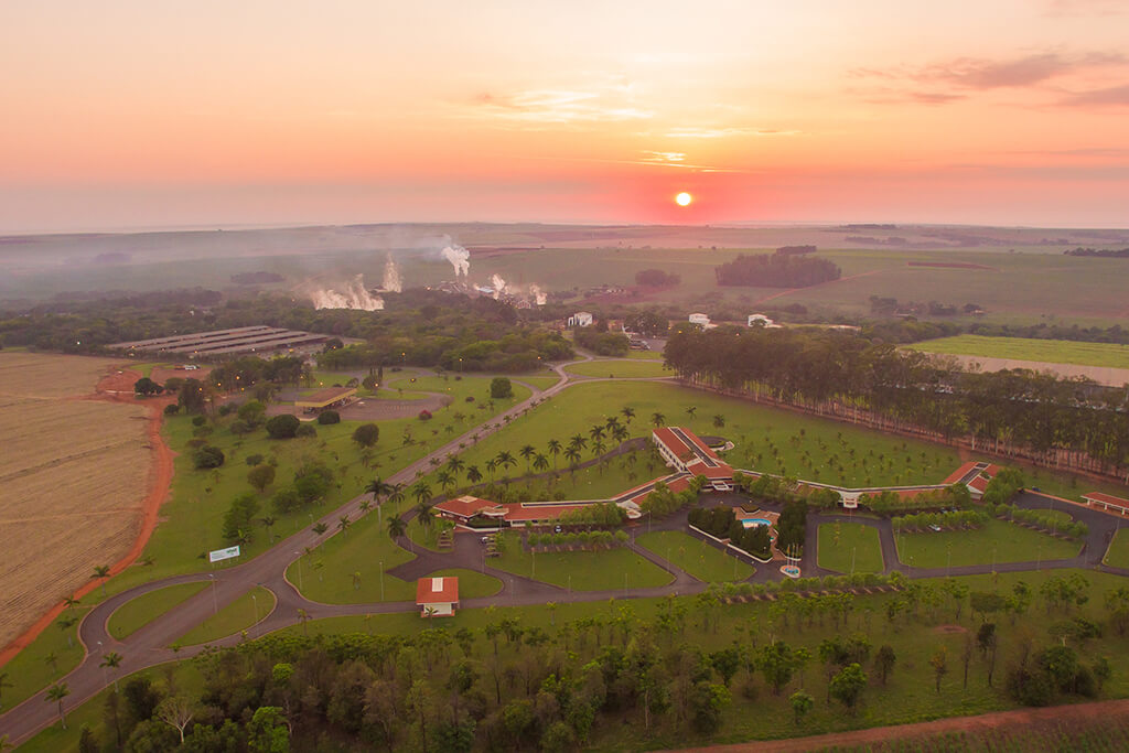 No dia de hoje, 01/04, a Usina Santa Adélia deu largada na safra 2020/21 em suas três unidades, em Jaboticabal, Pereira Barreto e Sud Menucci, em São Paulo, como previsto.