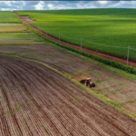 Produtor de cana espera boa safra