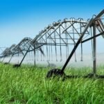 mitos sobre irrigação de cana