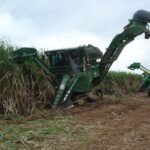 Diana Bioenergia espera ciclo virtuoso a partir da safra 2020/21