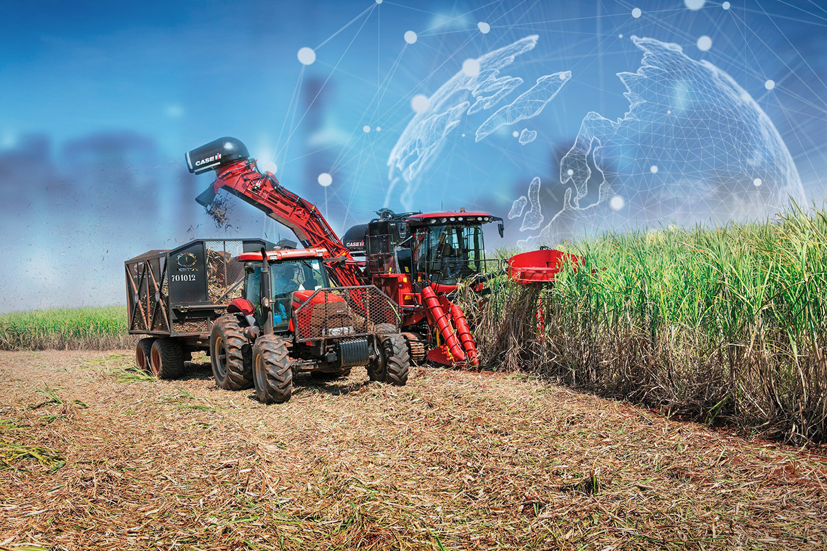 Bayer cria ferramenta que recompensa agricultores que geram créditos de carbono
