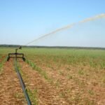 Projeto de lei cria programa de incentivo ao uso de vinhaça no Estad