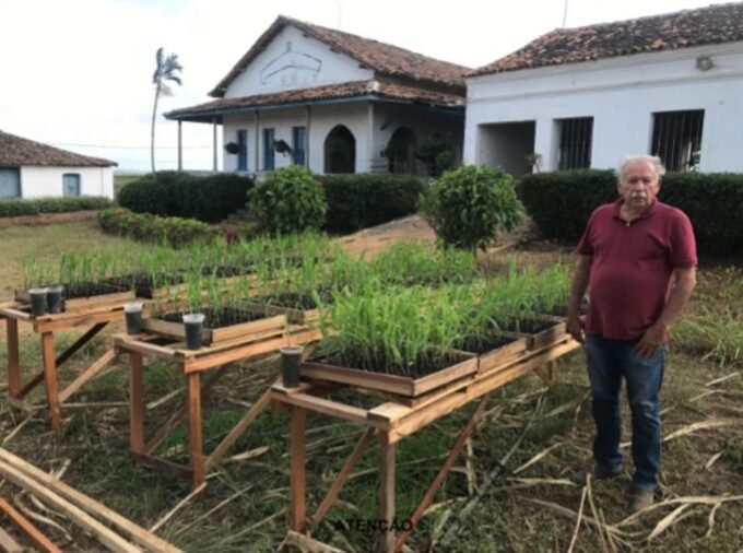 Dono de engenho pernambucano de cana desenvolve modelo mais barato e viável para produção de Mudas Pré-Brotadas (MPB)