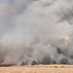Incêndio atinge área de pastagem e lavoura de cana em Uberlândia