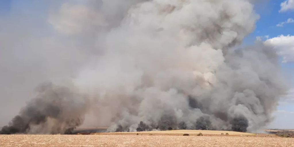 Incêndio atinge área de pastagem e lavoura de cana em Uberlândia