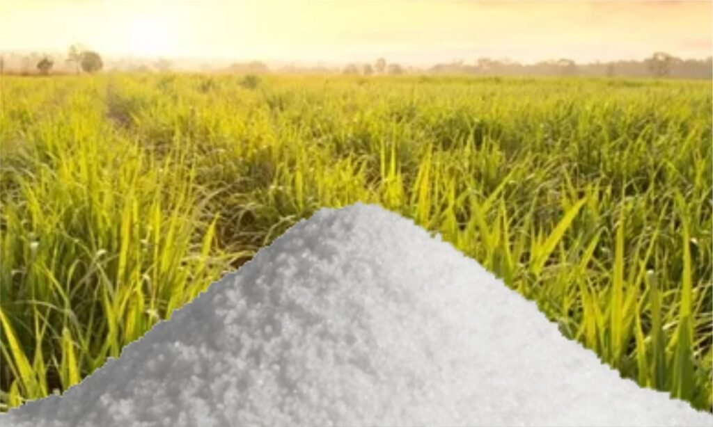 Mercado de açúcar enfrenta tempestade perfeita com efeito El Niño, mudança de posição dos fundos e quebras de safra global Especialistas apontam volatilidade histórica, revisões para baixo na produção do Centro-Sul brasileiro e desafios industriais com a cana no campo. São Paulo, outubro de 2026 – O mercado global de açúcar e commodities vive um momento de forte volatilidade e reconfiguração de cenários, impulsionado por fatores macroeconômicos e climáticos. A discussão fez parte da programação 