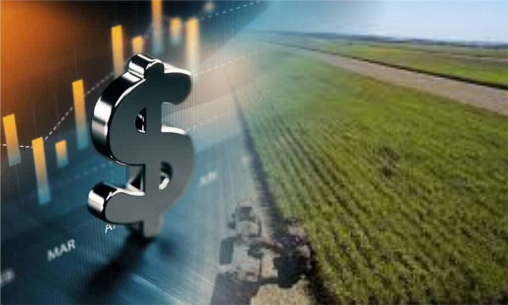 Clima, e não o preço, será fator determinante para produção de açúcar nas usinas brasileiras