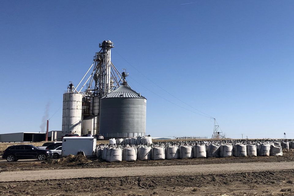EUA vendem 1,11 milhão de toneladas de milho da safra 2023/24 na semana