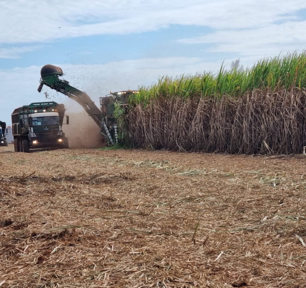 Moagem de cana cresce 1,4% na 1ª quinzena de maio e produção de etanol salta, diz governo