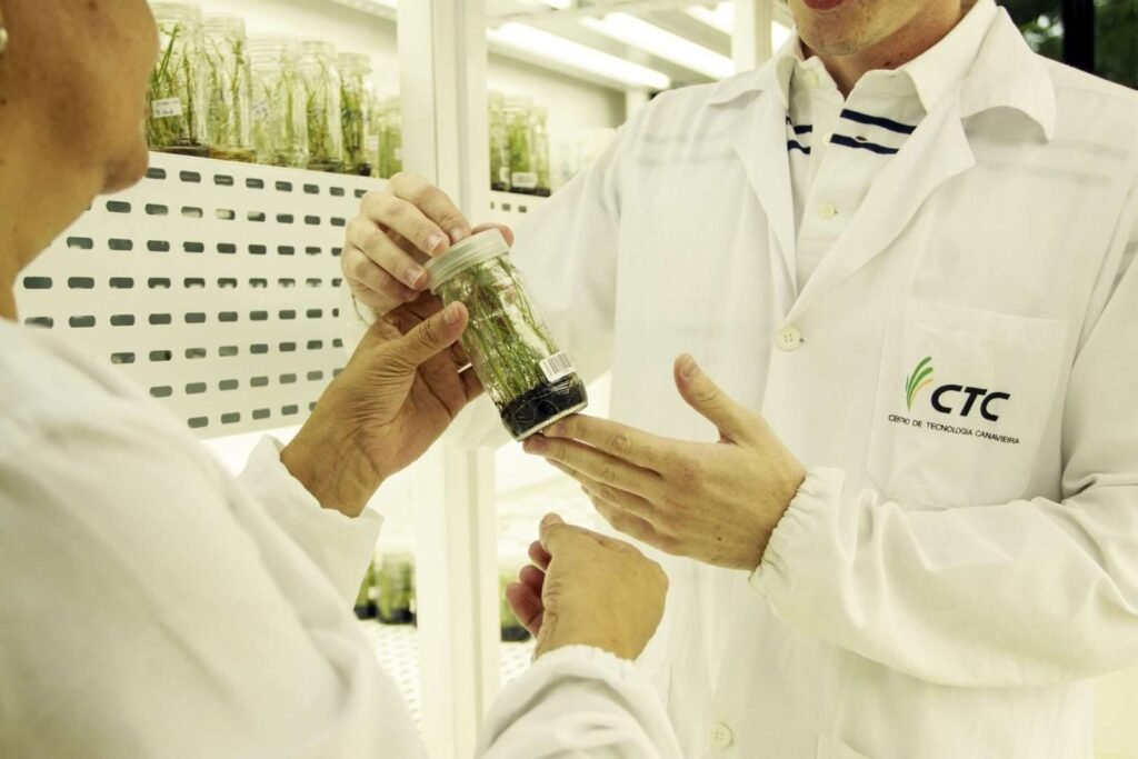 CTC amplia receita em 10% e chega a 32% de participação no plantio de clientes