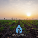 renovabio