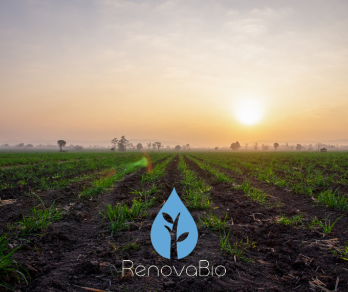 renovabio