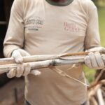 Fazenda Barra Grande tem produção de cana de açúcar mais sustentável e ganha certificação estadual (Foto: Wilker Maia/Casa da Comunicação Franca)