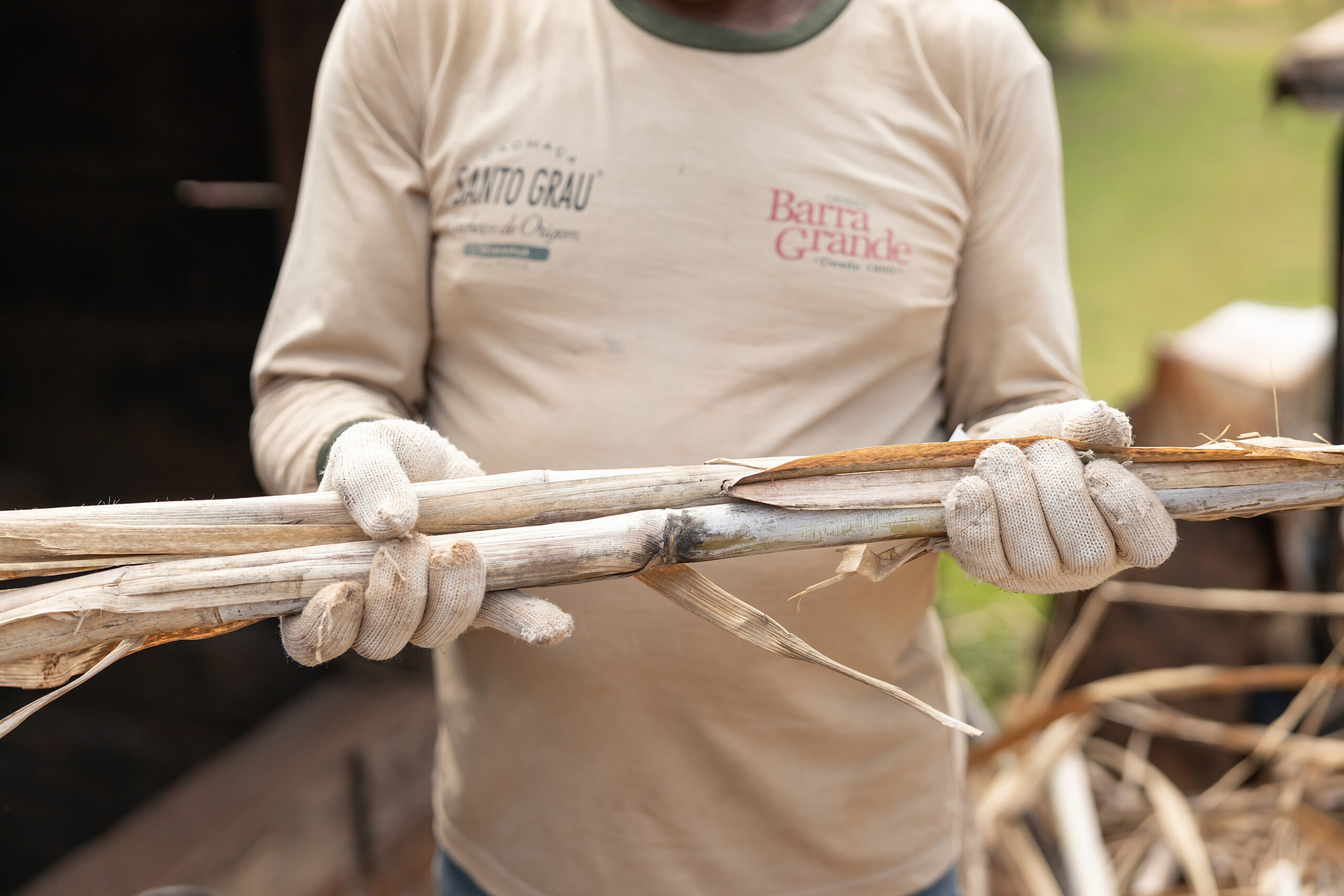 Fazenda Barra Grande tem produção de cana de açúcar mais sustentável e ganha certificação estadual (Foto: Wilker Maia/Casa da Comunicação Franca)