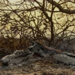 (AFP/Lourival Izaque)