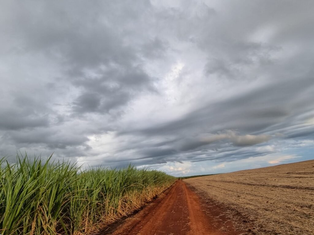 Perspectiva de um El Niño intenso traz mudanças para mercado global de açúcar