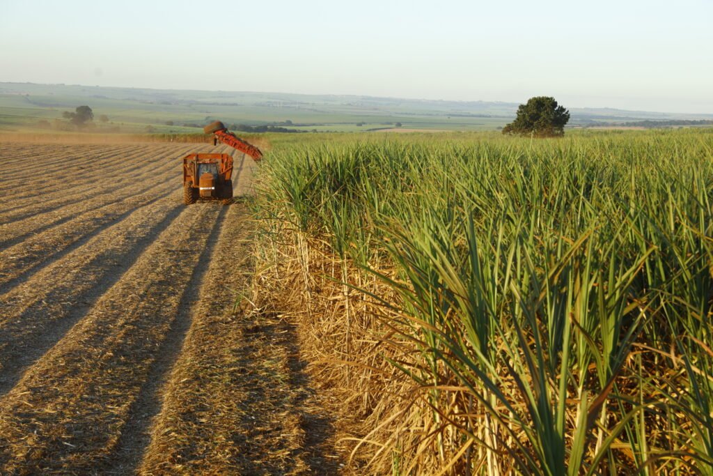 O que esperar da safra 2026/27?
