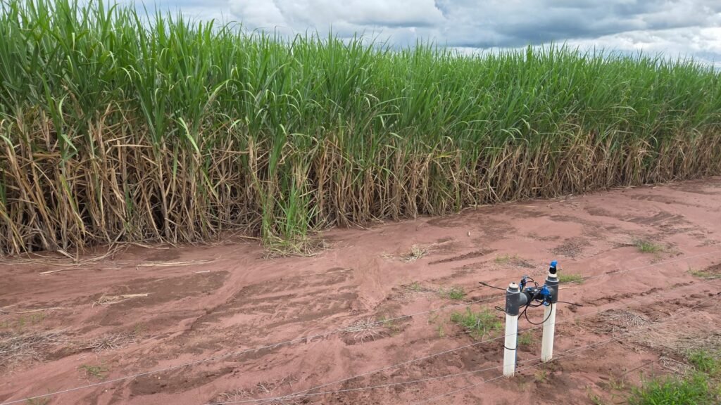 Irrigação avança na cana e ganha espaço como ferramenta de segurança operacional