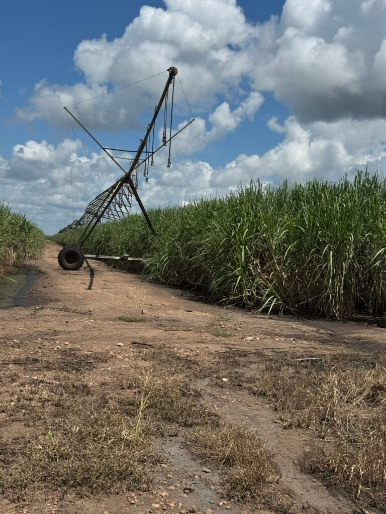 RPA Consultoria estrutura roadmap em Moçambique diante de desafios produtivos em usinas de cana