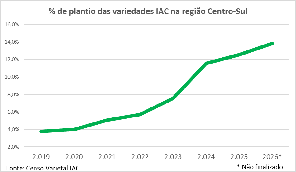 Melhoramento genético impulsiona avanço das variedades IAC
